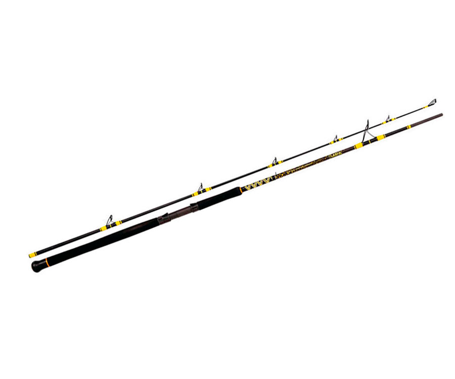 Сомовое удилище Black Cat Passion Pro DX Boat 2.50м 400г