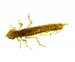 Нимфа Fishup Dragonfly 0.75" #074 Green Pumpkin Seed