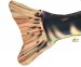 Подушка-іграшка Flagman Риба "Щука" 110x25см